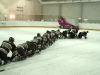 Phantoms - DDucks 191207