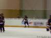 8.Saisonspiel 08/09 gegen den EC Red Eagles Graz am 27.01.09