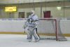 5.Playoffspiel 09/10 gegen die Eisbären II!  
