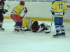 4.Saisonspiel gegen die Grazer Eisbären II am 27.11.09
