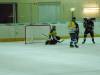 4.Saisonspiel gegen die Grazer Eisbären II am 27.11.09