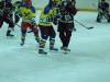4.Saisonspiel gegen die Grazer Eisbären II am 27.11.09
