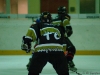 Viertes Playoffspiel gegen die Knights Deutschlandsberg II - letztes Spiel der Saison 2007/08