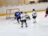 Drittes Playoff Spiel 2010/2011 am 22.3.2011 gegen die Lawyers aus Graz!