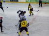 Achtes Meisterschaftsspiel 2010/2011 am 02.02.2011 gegen die Shadow Warriors aus Anger  