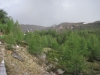  Teambuilding Wochenende im Pusterwald auf der Grillerhütte