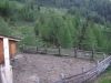  Teambuilding Wochenende im Pusterwald auf der Grillerhütte