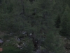  Teambuilding Wochenende im Pusterwald auf der Grillerhütte