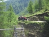  Teambuilding Wochenende im Pusterwald auf der Grillerhütte