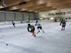 2.Playoffspiel am 6.3.2010 gegen die Teichpiraten II! 