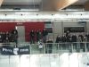 6.Spiel 09/10 gegen die Wild Boars